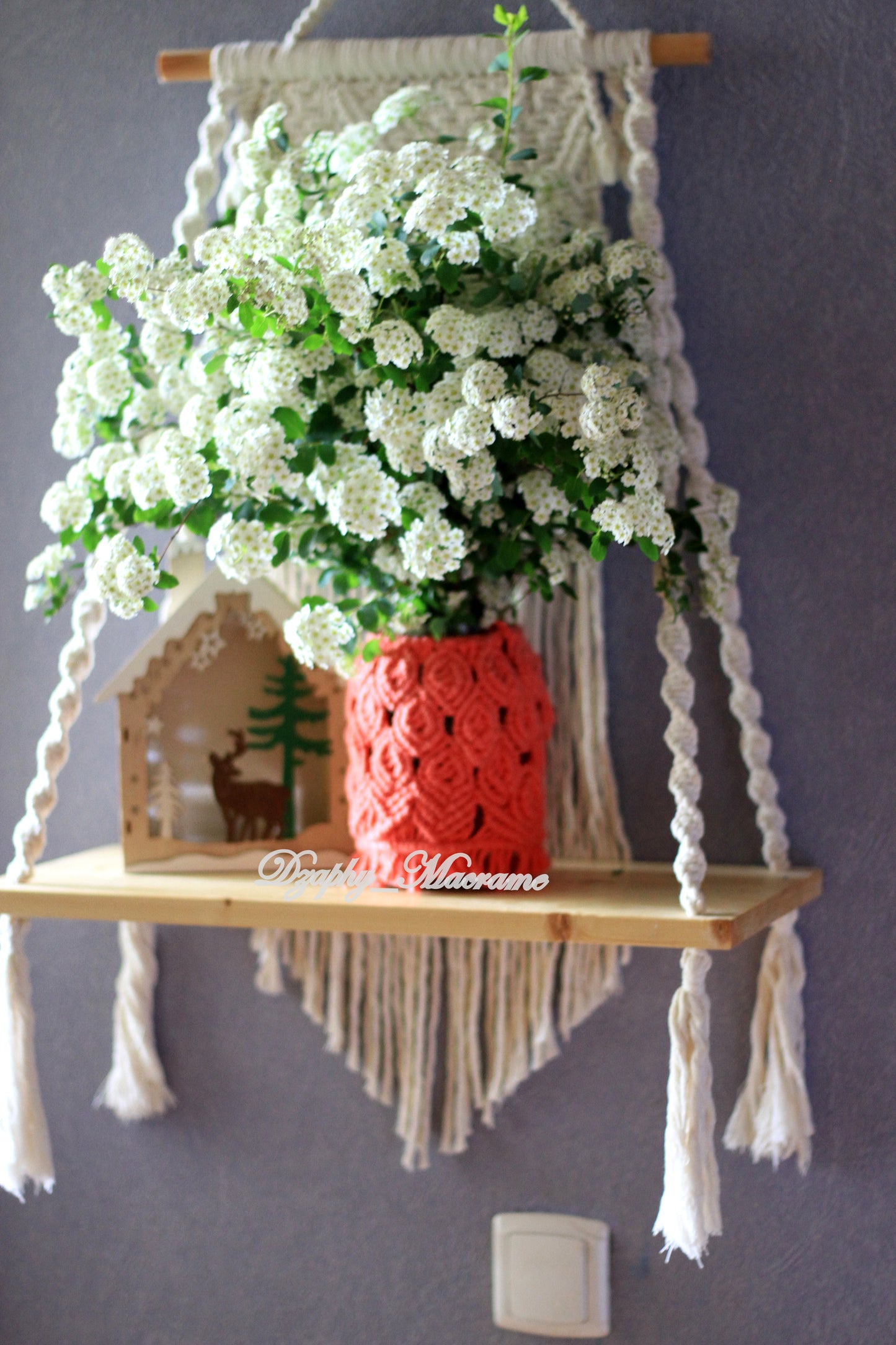 Shelf
