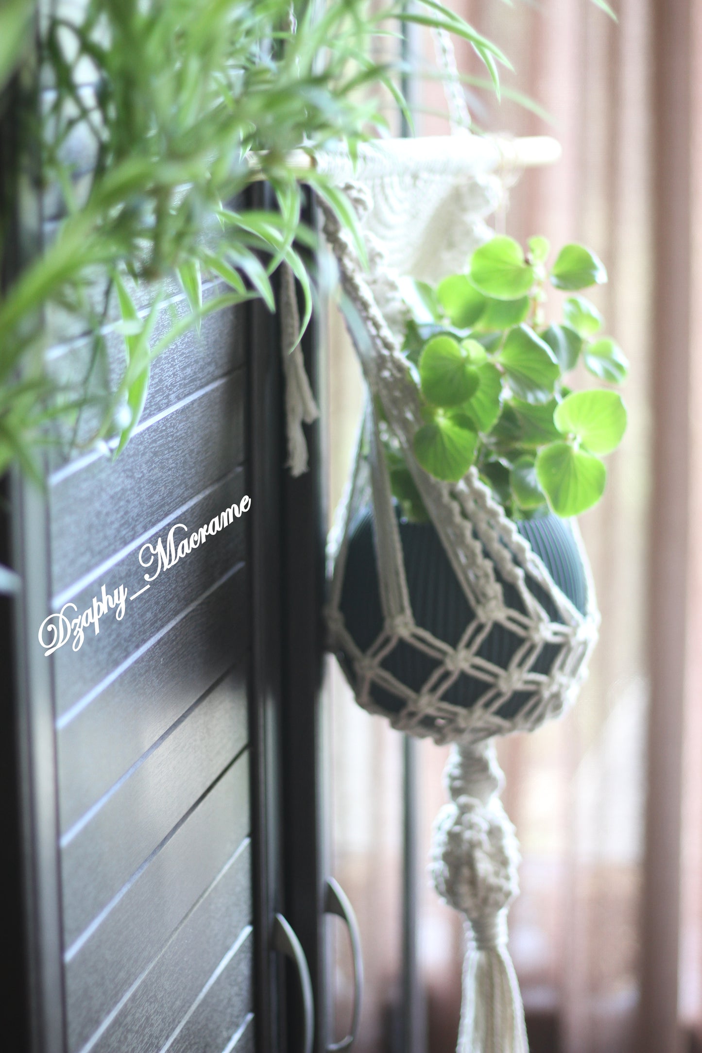 Plant Hanger