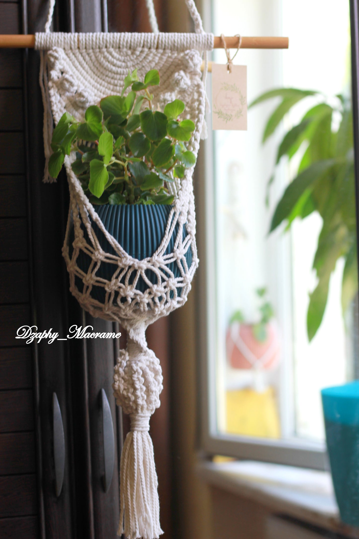 Plant Hanger
