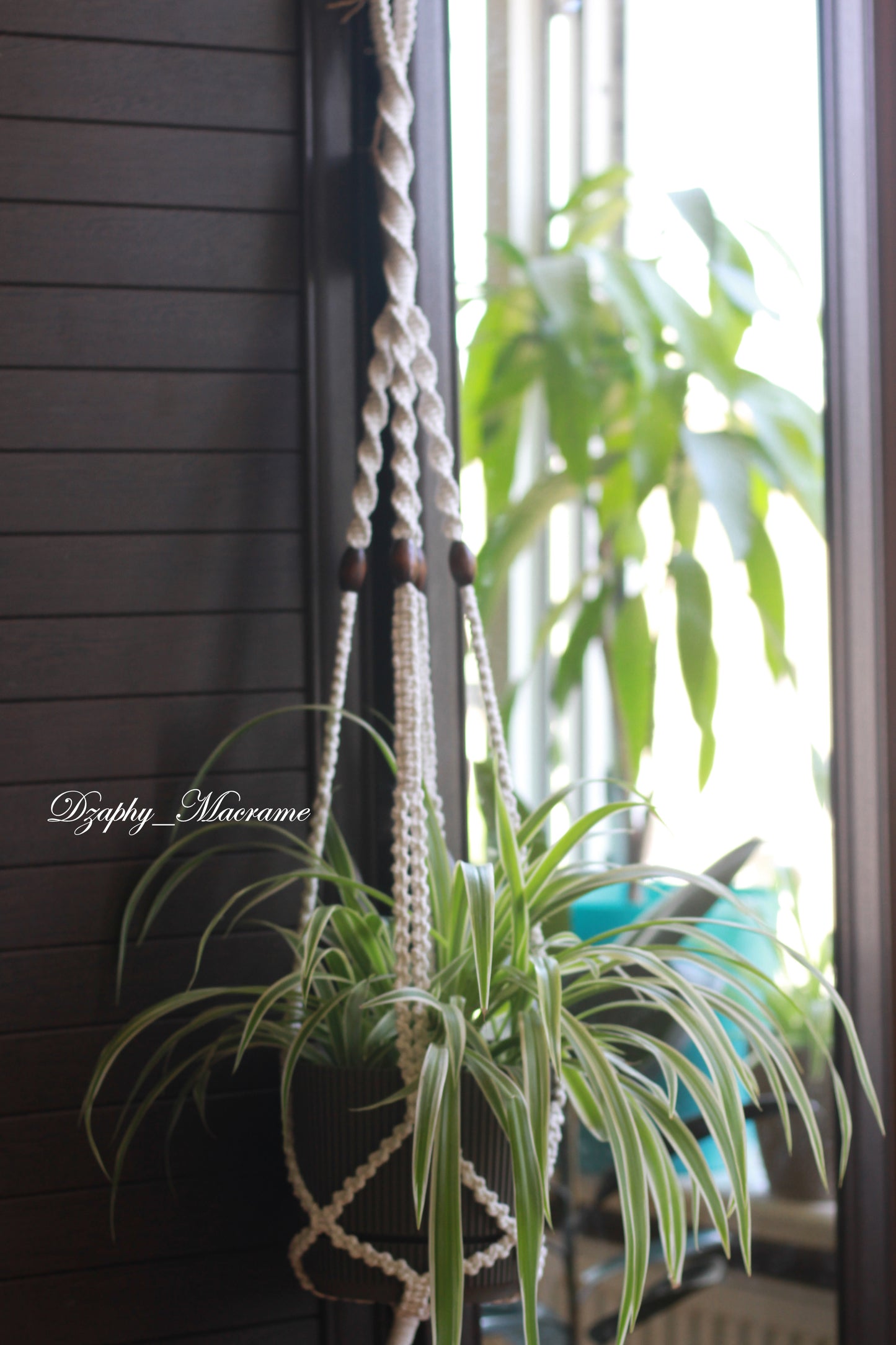 Macrame Plant Hanger