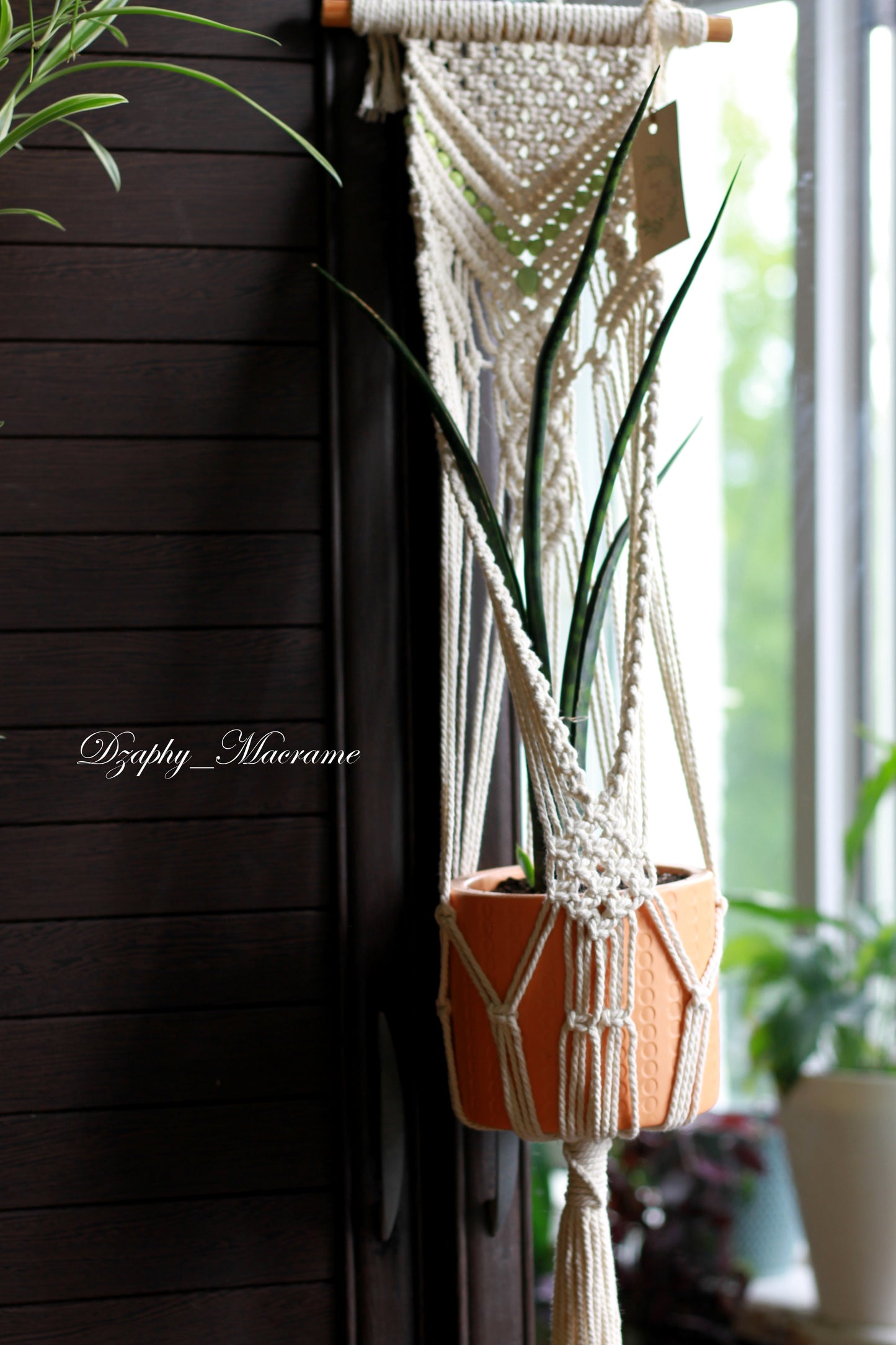 Macrame Plant Hanger
