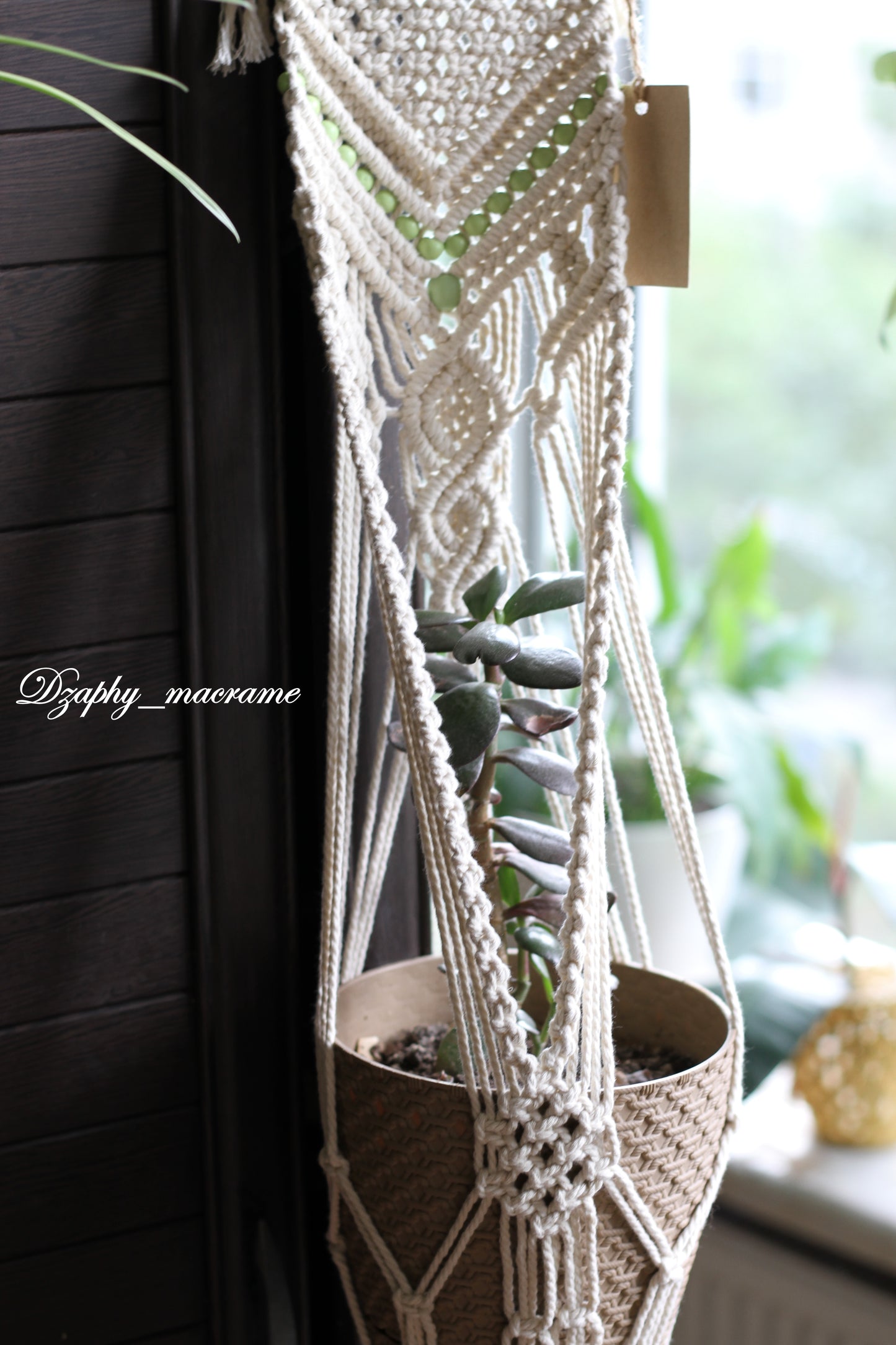 Macrame Plant Hanger
