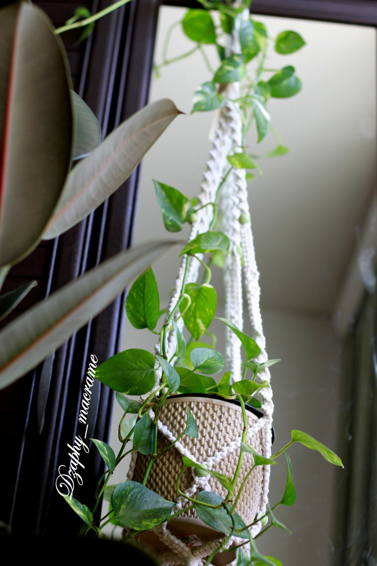 მაკრამეს კაშპო 101 /123სმ Plant Hanger
