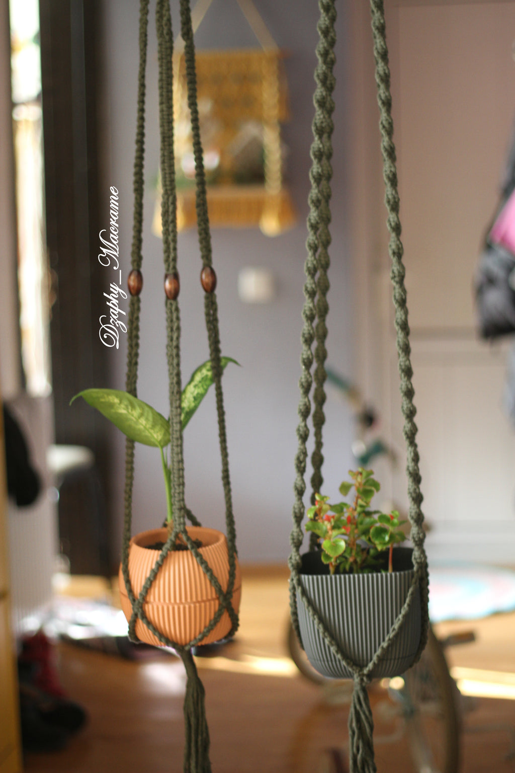 Macrame Plant Hanger