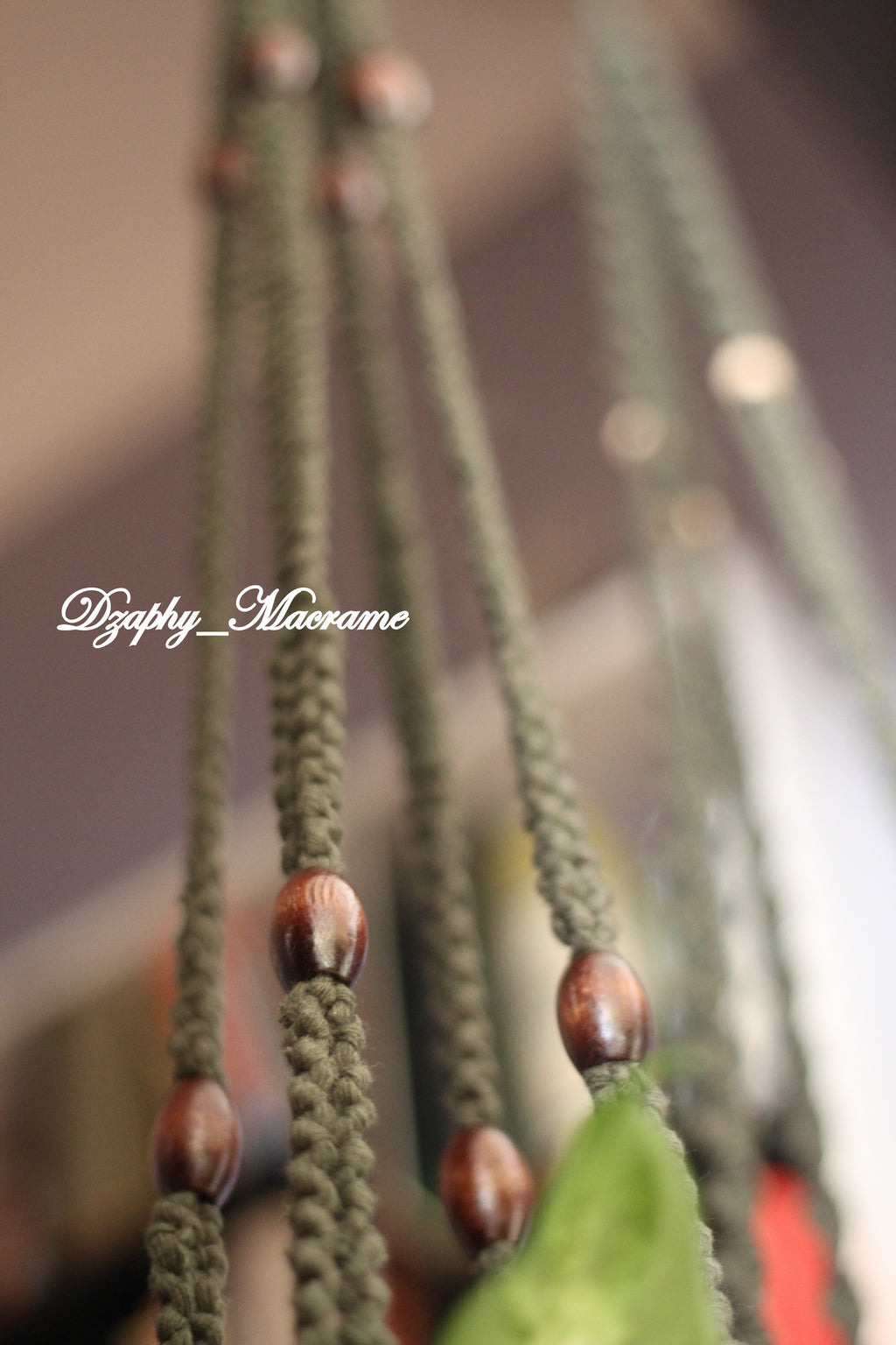 Macrame Plant Hanger
