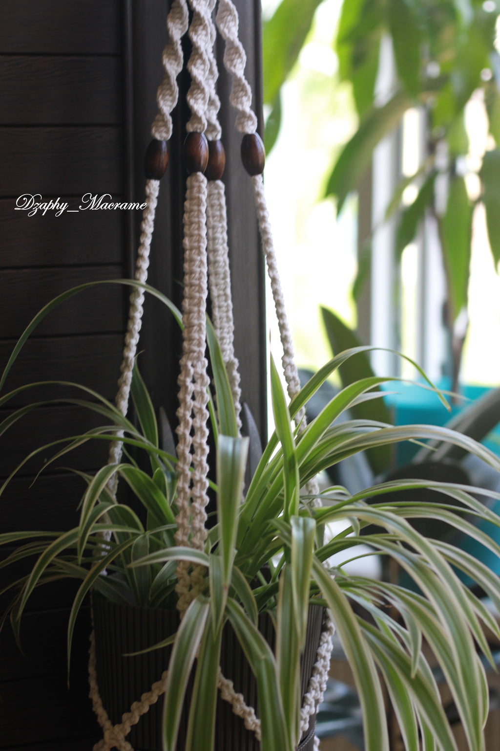 Macrame Plant Hanger