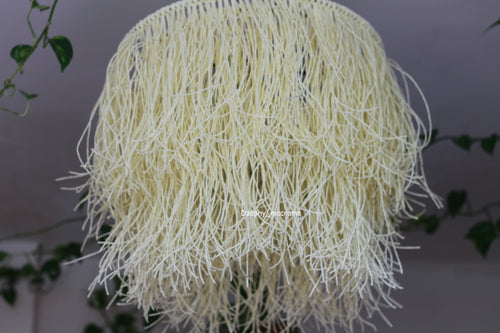 Chandelier 50/46 cm შეკვეთით!